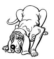 184x200 Bloodhound Dog Stock Vectors
