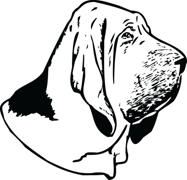 Bloodhound Clipart | Free download on ClipArtMag