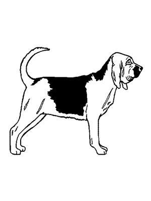 300x400 Beagle Clipart Bloodhound