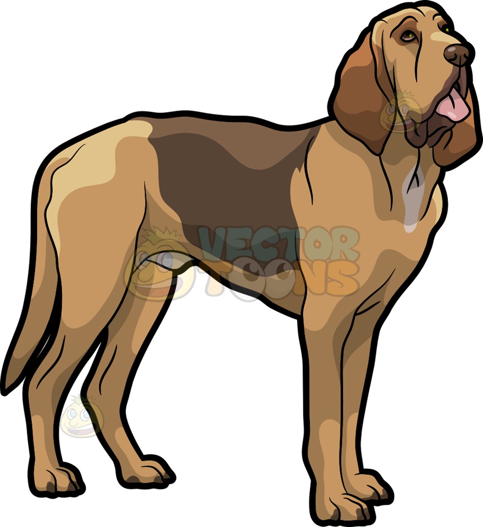 939x1024 Bloodhound Clipart