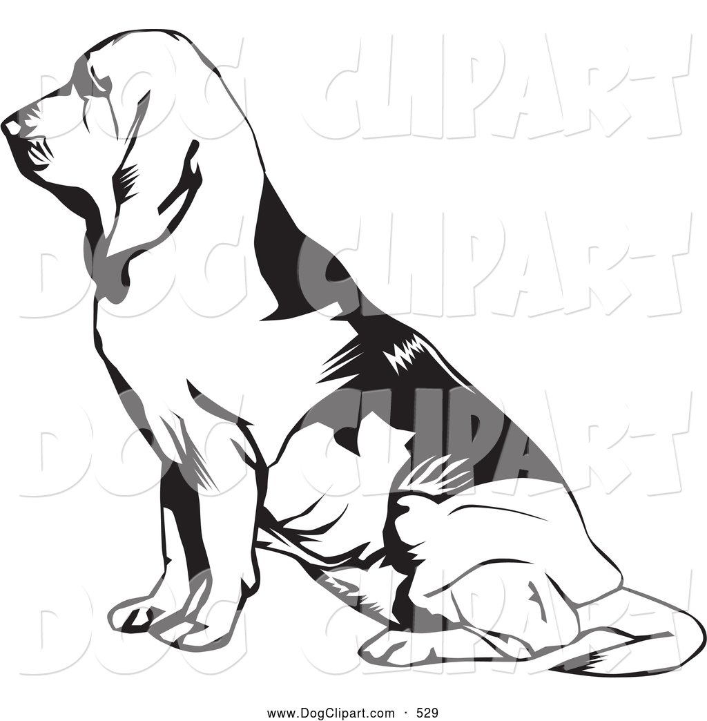 1024x1044 Bloodhound Clipart Clipart Panda