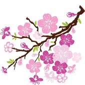170x170 Cherry Blossom Clipart Purple