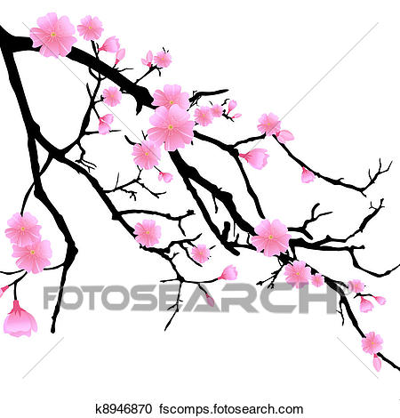 450x470 Clipart Of Branch With Cherry Blossoms K8946870
