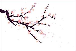 267x179 Free Cherry Blossom Clipart