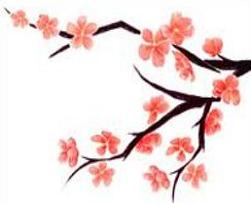 251x203 Peach Blossom Clipart