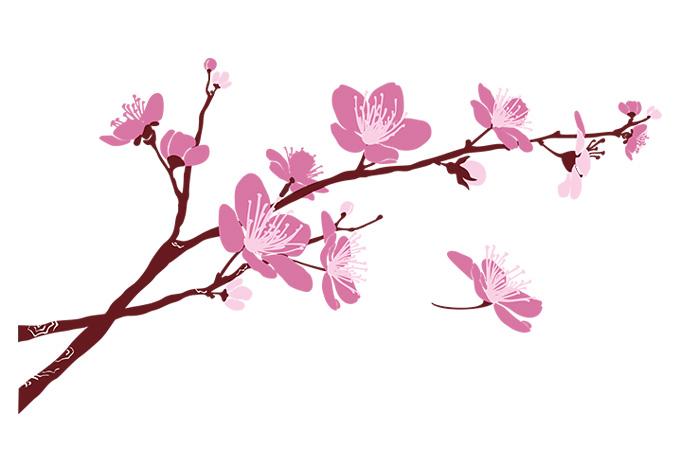 680x472 Cherry Blossom Border Free Clip Art