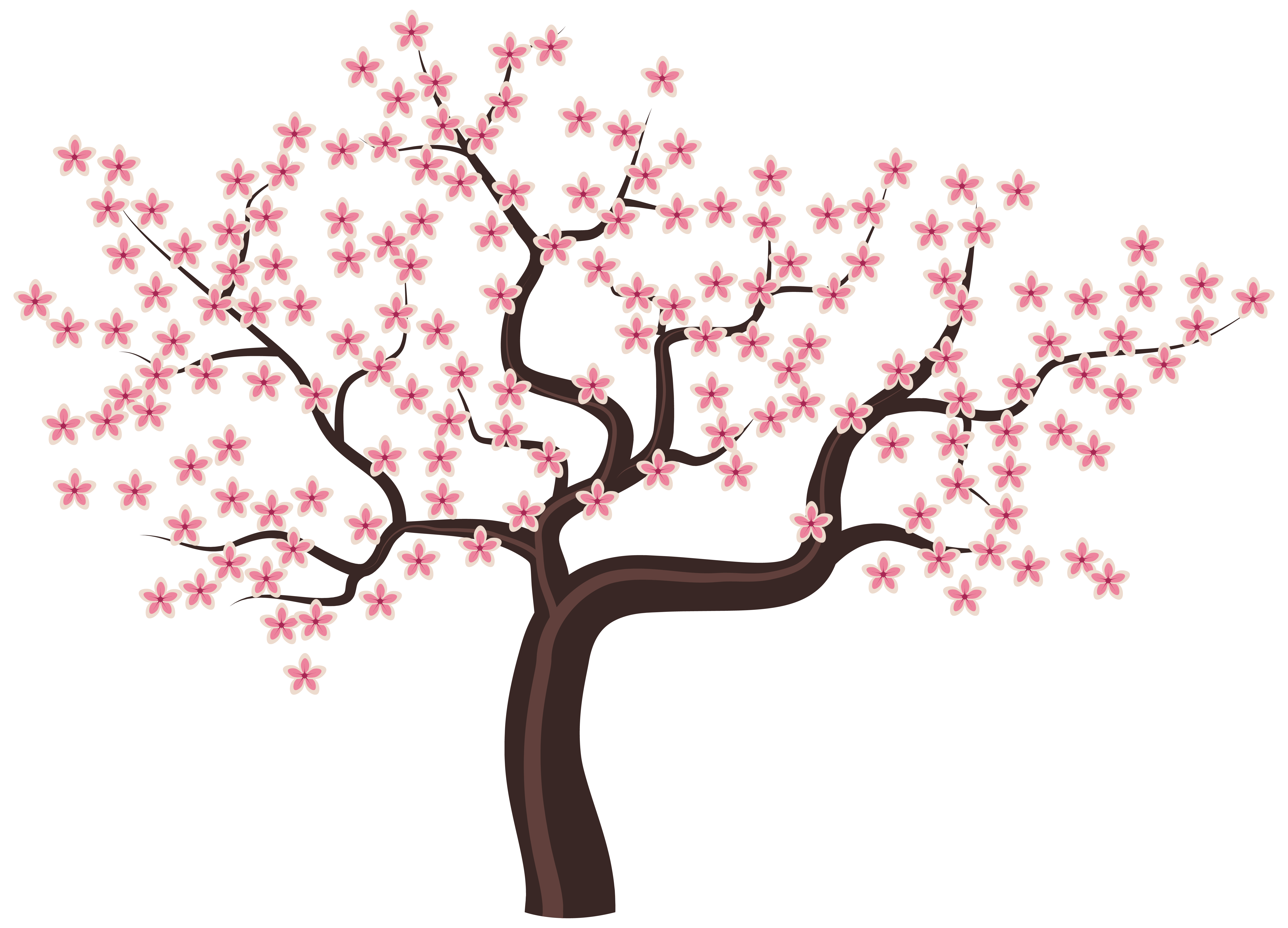 6215x4479 Blossom Clipart Flowering Tree