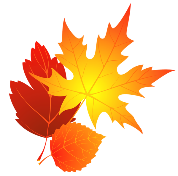600x595 Autumn Leaf Clipart