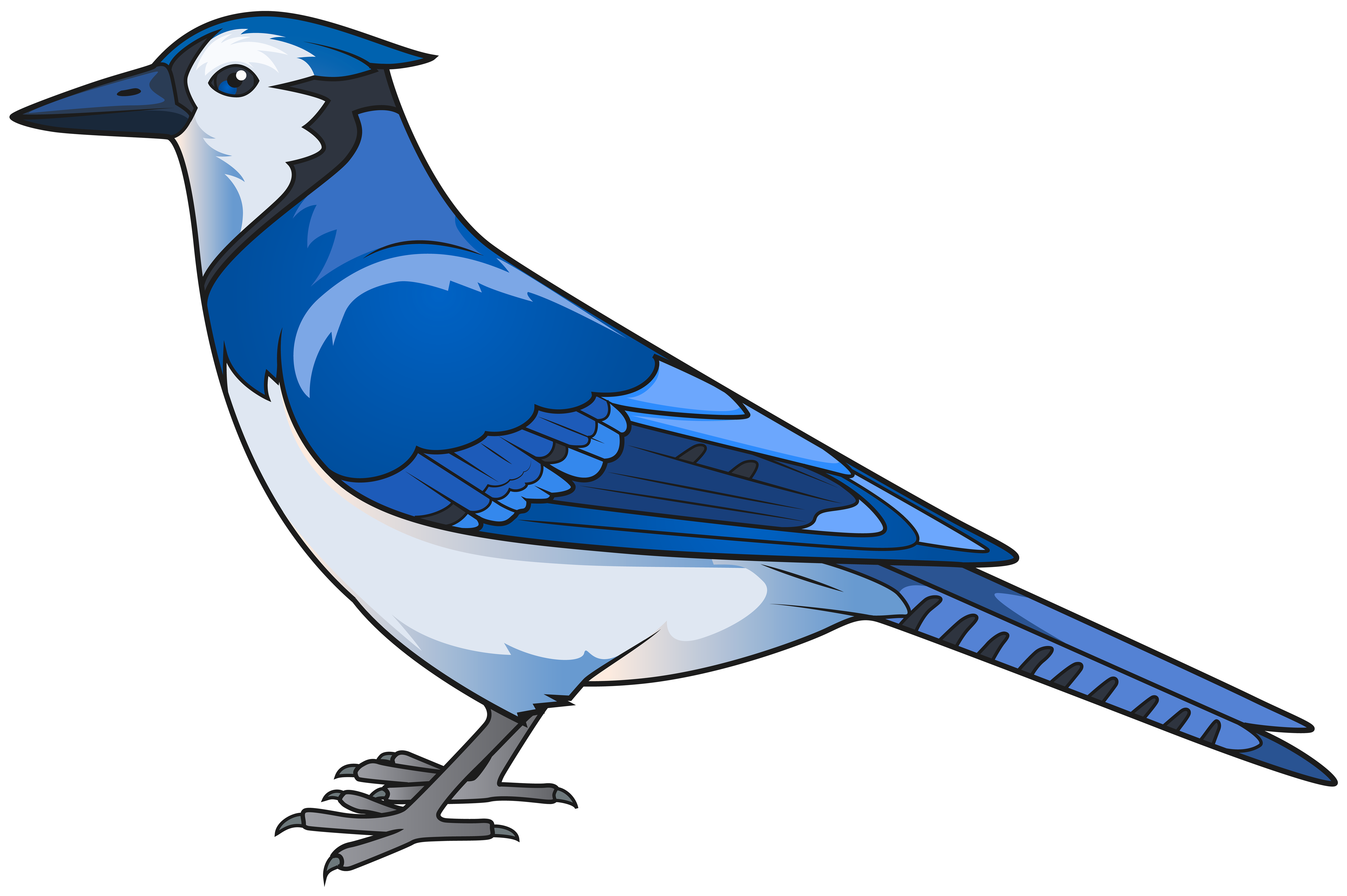 8000x5325 Blue Bird Transparent Png Clip Art Imageu200b Gallery Yopriceville