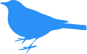299x186 Baby Blue Bird Clip Art