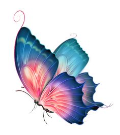 236x266 Butterflies Tatuagens Butterfly, Blue Butterfly
