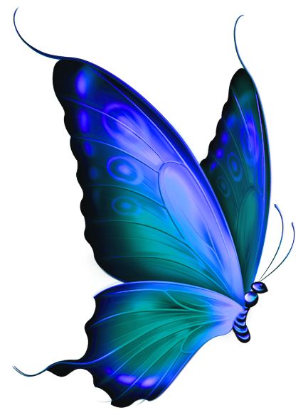 433x584 378 Best Butterflies Images Caterpillar, A Tattoo