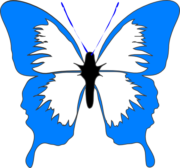 600x560 Blue Butterfly Clip Art