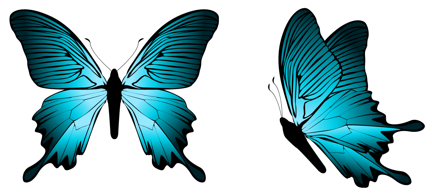 1425x645 Blue Butterfly Png Clipart Imageu200b Gallery Yopriceville