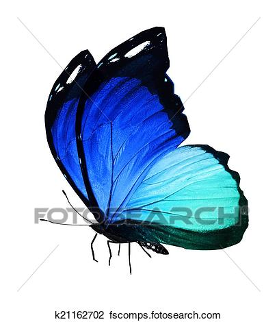 405x470 Clip Art Of Blue Butterfly On White Background K21162702
