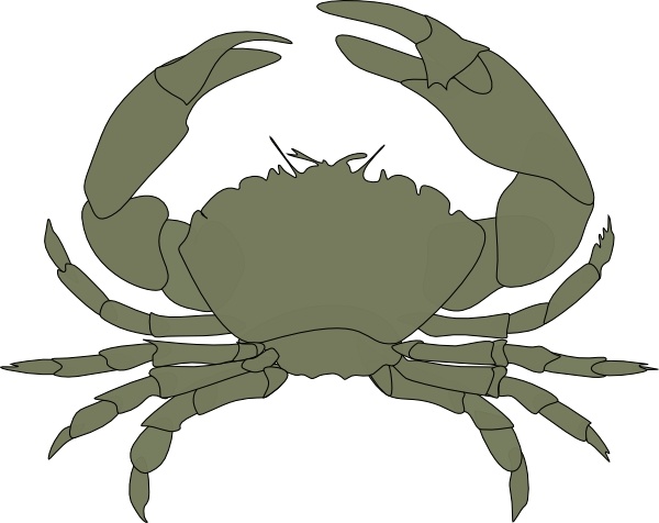 600x476 Crab Clip Art Free Vector In Open Office Drawing Svg ( Svg