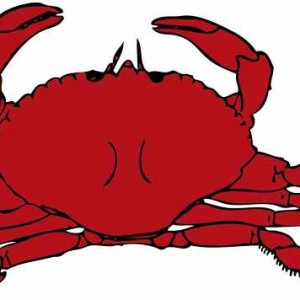300x300 Crab Clipart