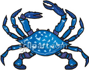 300x236 Crab Clipart Blue Crab