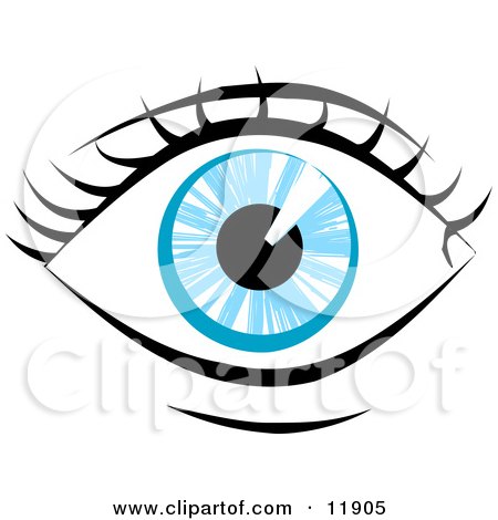 450x470 Blue Eyes Clipart Small Eye