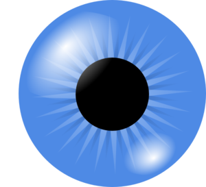 300x273 Blue Eye Clip Art