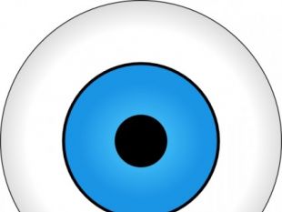 310x233 Blue Eye Iris Clip Art Free Vectors Ui Download