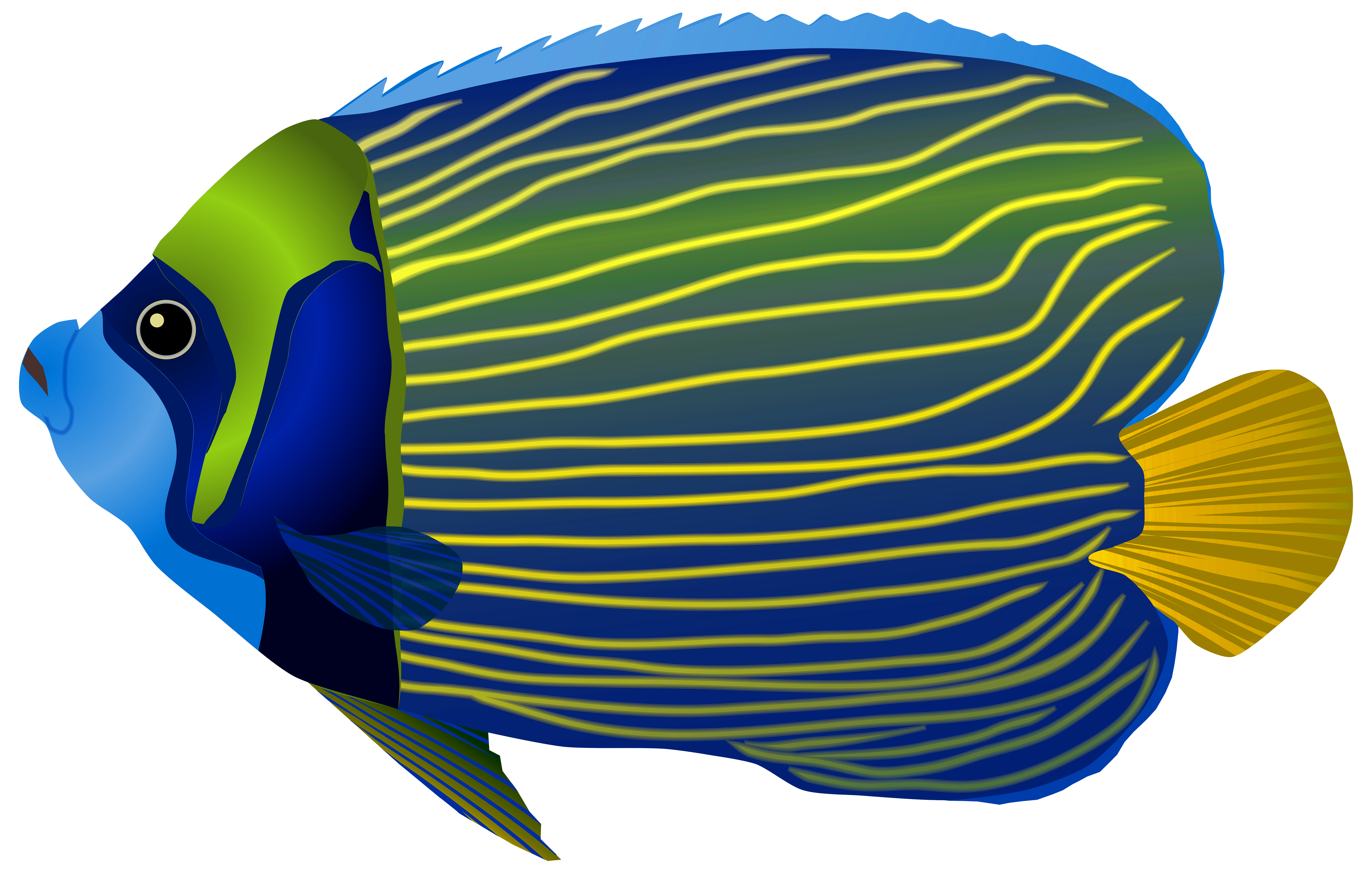 7000x4452 Blue Fish Png Clip Art Imageu200b Gallery Yopriceville