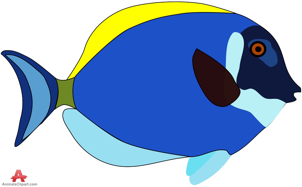 999x618 Exotic Blue And Yellow Fish Free Clipart Design Download