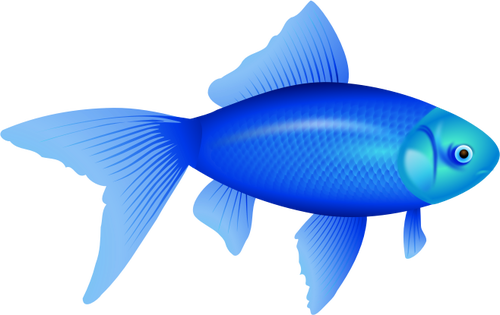 500x315 Vector Illustration Of Blue Goldfish Public Domain Vectors