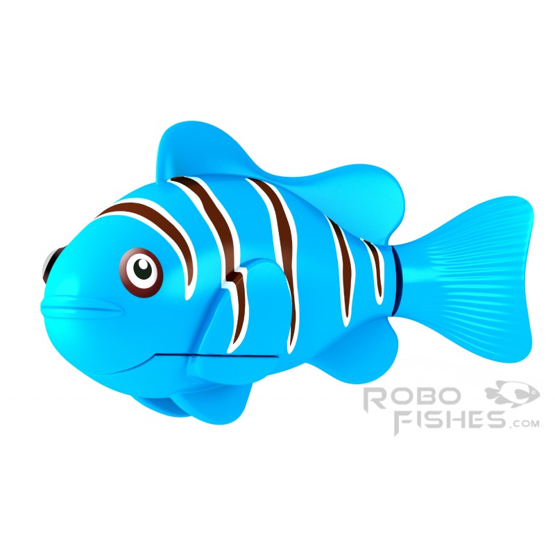 800x800 Blue Robo Fish Clown Fish