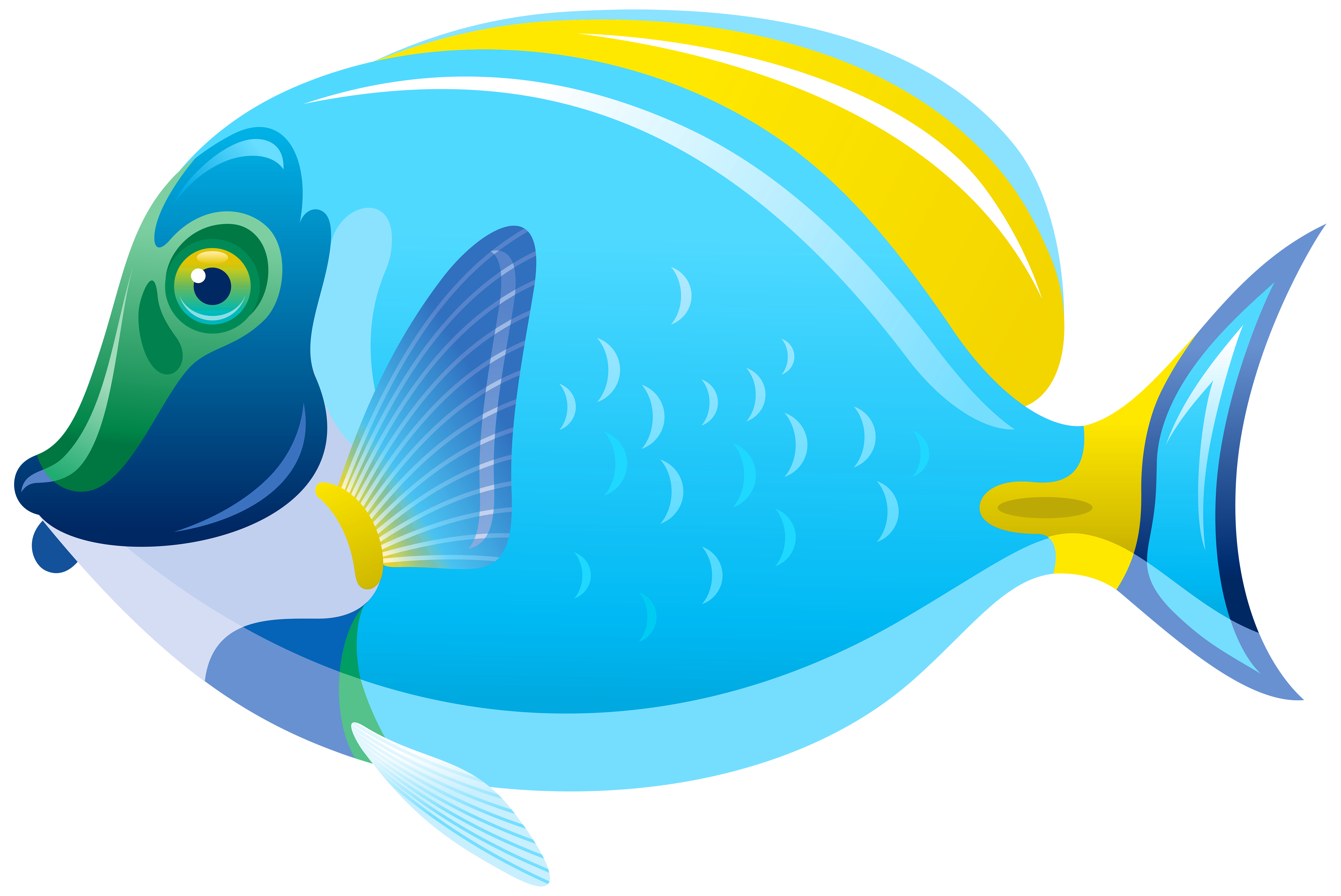 6000x4012 Fish Png Clip Art Imageu200b Gallery Yopriceville