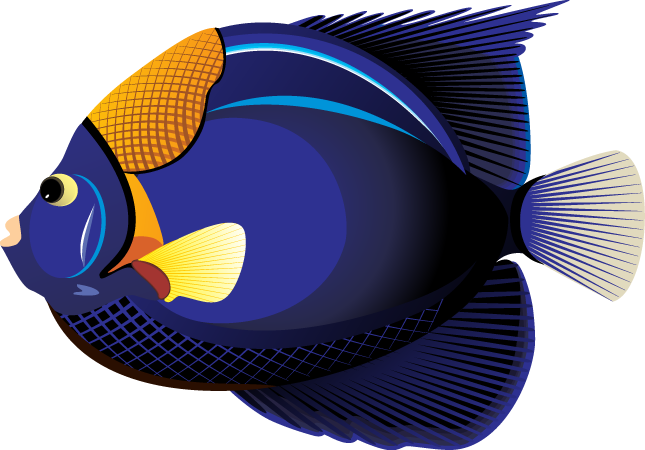 645x450 Top 78 Fish Clip Art