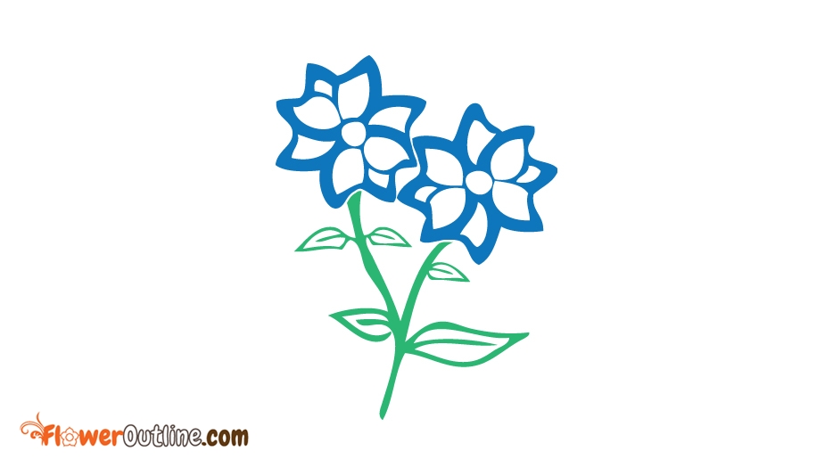 934x534 Blue Flower Outline Clip Art @