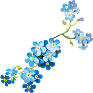 Blue Flowers Clipart | Free download on ClipArtMag