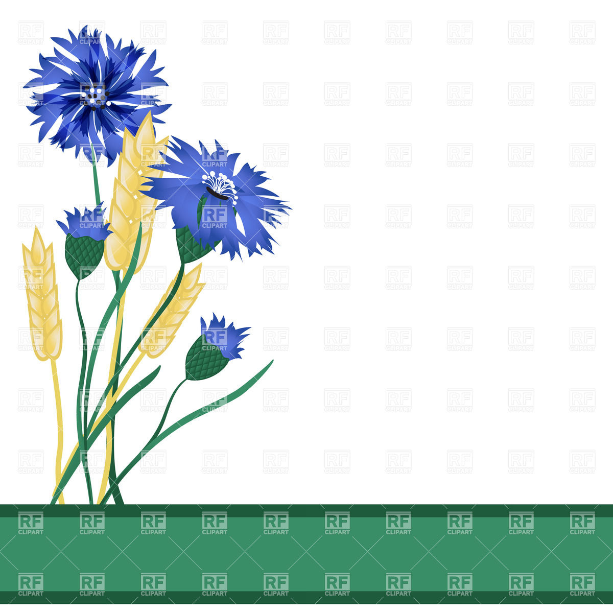 1200x1200 Wheat Ears And Blue Flowers Royalty Free Vector Clip Art Image