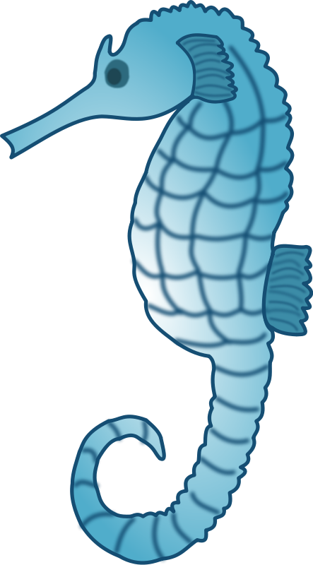 443x800 Best Seahorse Clipart