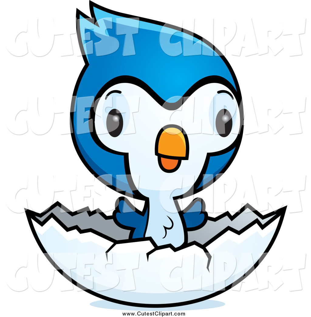 1024x1044 Blue Jay Clipart Cute