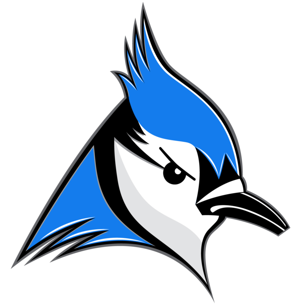 Blue Jay Bird Clip Art | Free download on ClipArtMag