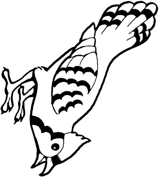 540x601 Blue Jay Clipart