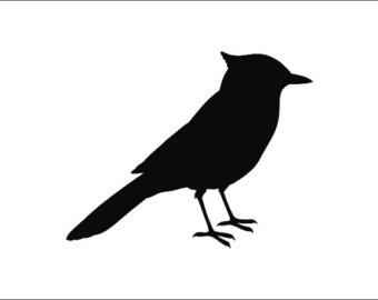340x270 Blue Jay Clipart Etsy