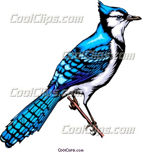 288x308 Bluebird Clip Art