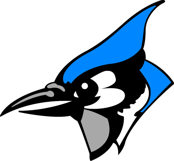 600x556 Blue Jay Mascot Team Sports Clipart