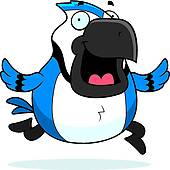 170x170 Blue Jay Clip Art
