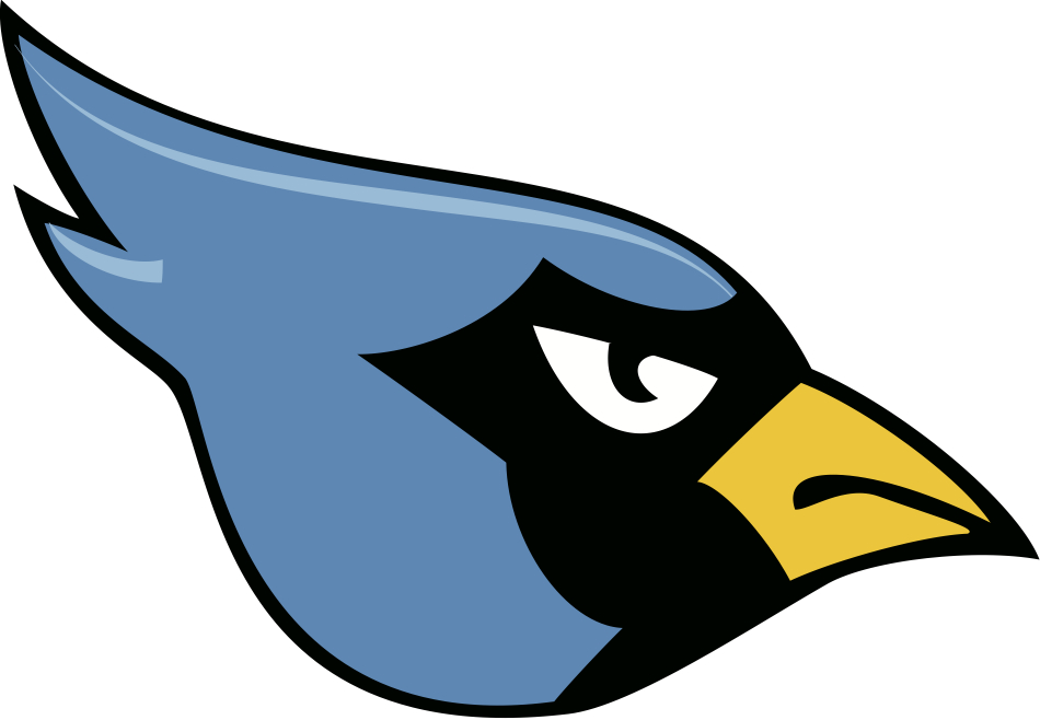 950x658 Head Clipart Blue Jay