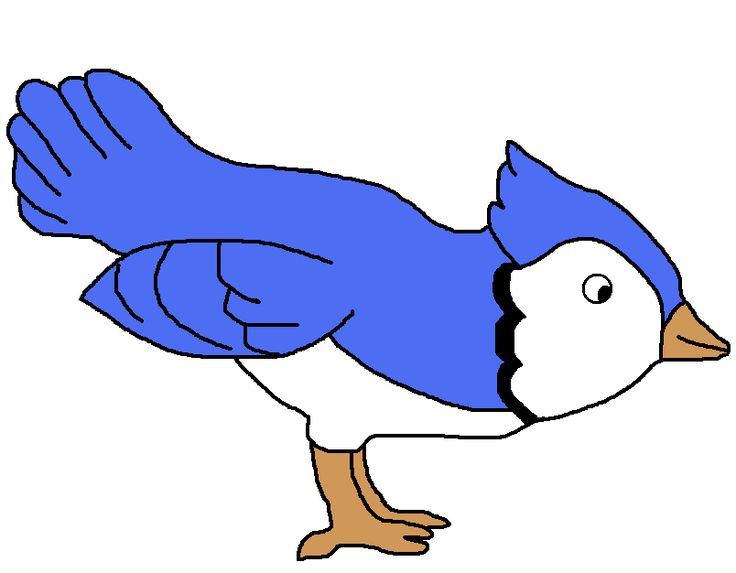 Blue Jay Clipart | Free download on ClipArtMag