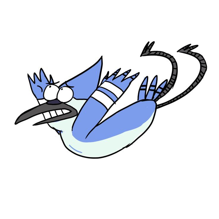 736x736 Blue Jay Clipart Flight Drawing