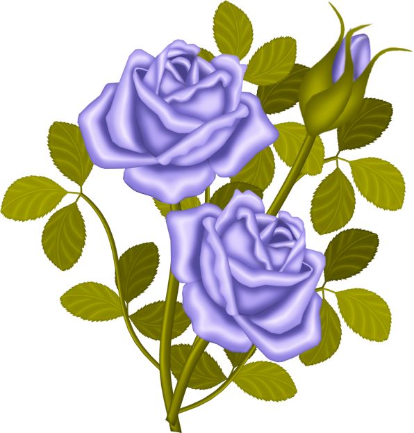 Blue Rose Clipart