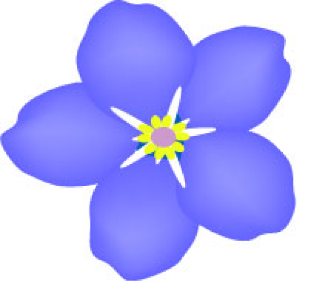 640x600 Blue Rose Clipart Outline