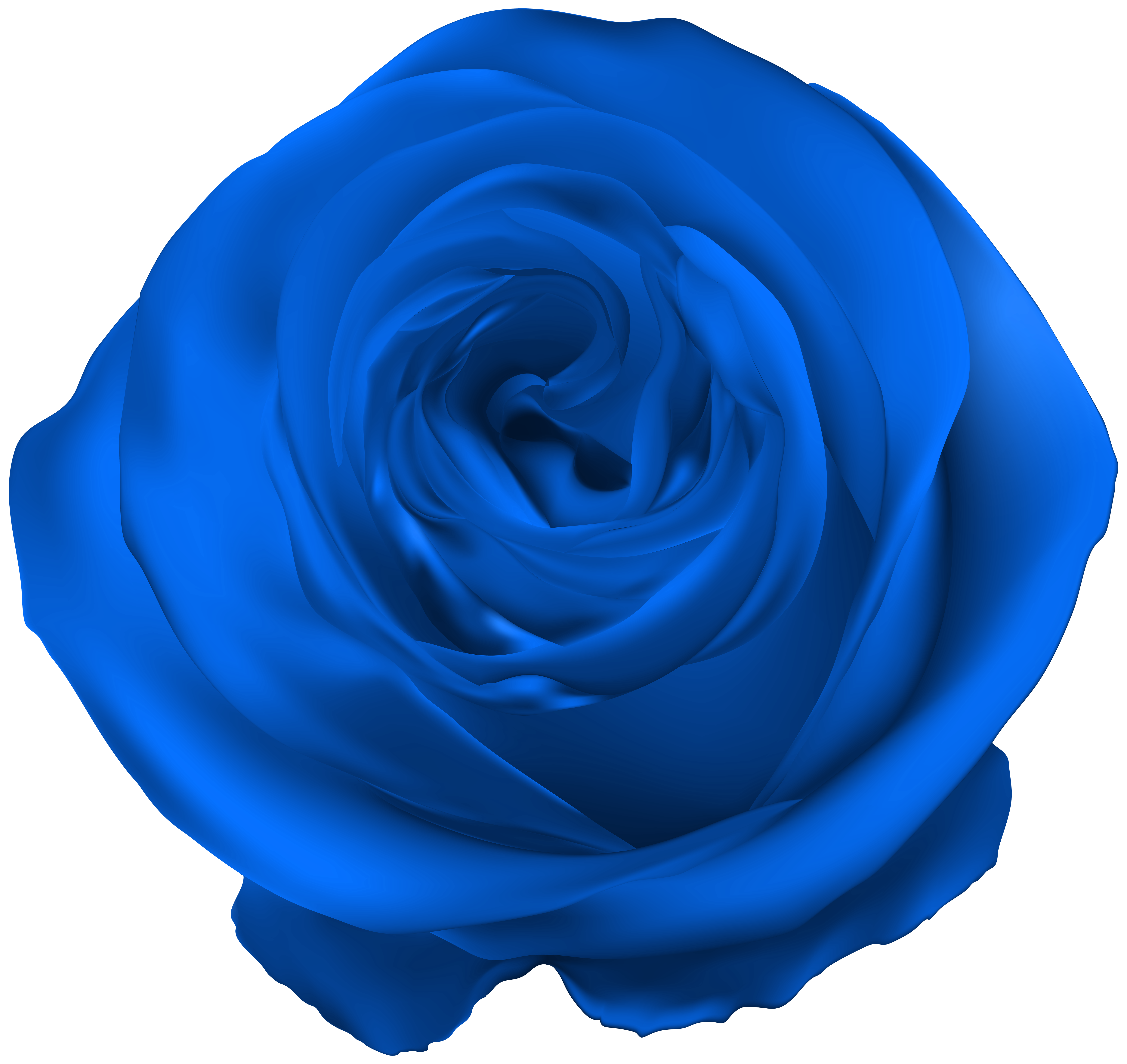 6000x5663 Blue Rose Png Clip Artu200b Gallery Yopriceville