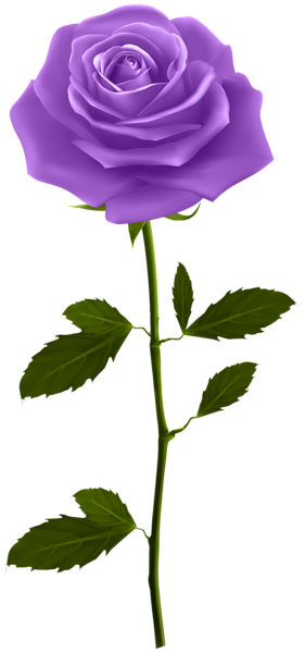 281x600 Purple Rose With Stem Png Clip Art Image