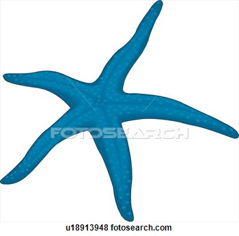 350x345 Blue Starfish Drawing Clipart Panda